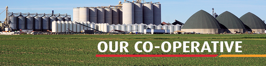 Our Co-operative banner